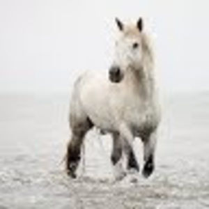 Meet your Posher, Kiara